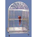 Stainless Steel Cages for Parrots