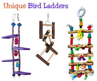 Bird Cage Ladder