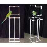 PVC Parrot Bird Stands by Parrot Treasures