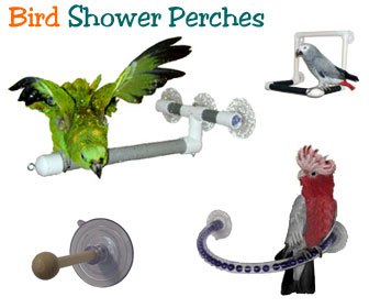 Bird Shower Perch