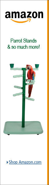 Parrot Stands