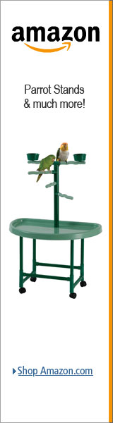 Plastic Parrot Bird Floor Stand