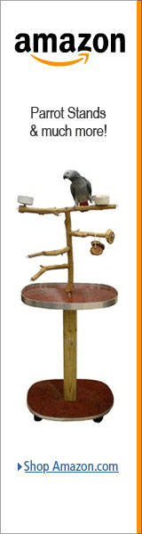 Wood Parrot Bird Floor Stand