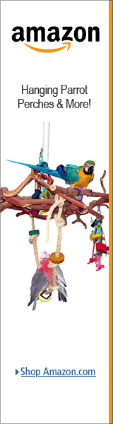 Hanging Bird Perch Stands