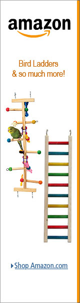 3 Step /& 4 Step, 2pcs 2pcs Wooden Bird Ladders Parrot Ladder Climbing Toy