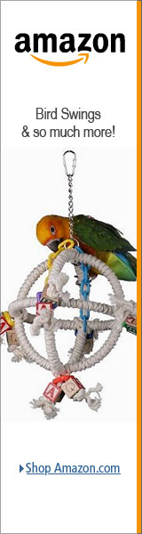 Multi-Level Bird Swings