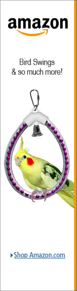 Round Shaped Bird Swings