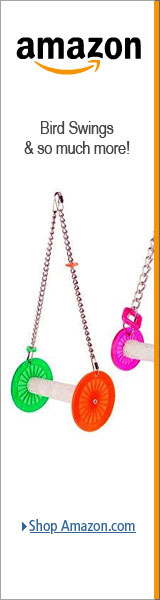 Wheel Shaped Bird Swings