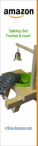 Unique Table Top Bird Stands for Parrots