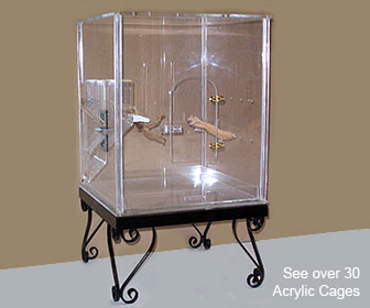 acrylic bird cage