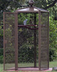 Outdoor Aviary Cages - 4' Designer Cage Hexagon by Cages by Desig