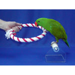 Nip-Guard Hoop by Eclectus Parrot