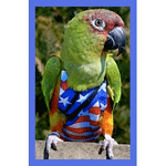 Flag Costume for Birds