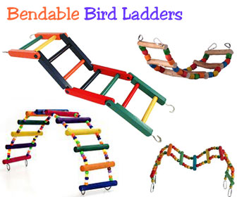 Bird Cage Ladders