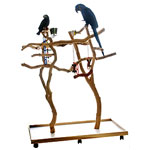 Sandblasted Manzanita Parrot Stand Activity Trees by Advanced Avian Designs