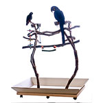 Sandblasted Manzanita Activity Trees by Advanced Avian Designs