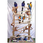 The Rainforest Romper Parrot Playgym 48x32x72 at All Macaws-com