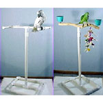 Shower Splash & Play & Travel Bird Gym by Exotic Wood Dreams