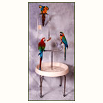 Wingdow Quadripod Parrot Bird Stand  World Parrot Trust EStore