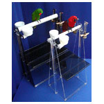 Acrylic Portable Floor Bird Stands by Pretty Bird