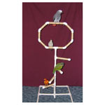 PVC Play Top Bird Stand