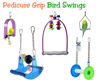 bird cage swing