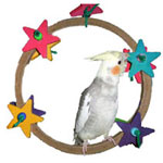 Star Bird Swing by Busy Bird