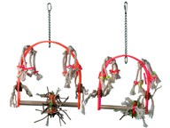 Fun Zone Swings for Birds