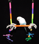 Freshman Tropical Parakeet Bird Swing by Fun Time Birdy