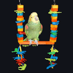 Junior Tropical Safari Bird Swing by Fun Time Birdy