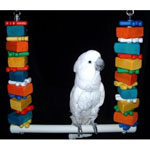 Senior Tropical Bird Swing by Fun Time Birdy