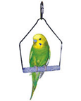 Trimmer Plus Cement Swing for Finches and Parrakeets by Penn Plax BA-220 BA-221