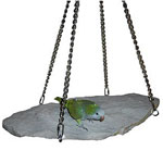 Flagstone Pendulum Bird Swing by Bird on the Rocks