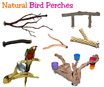 Natural Wood Perches