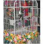 Perch Factory  Bird Cage Cleaner, Seed Guard, Poop Catcher, Liners