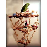 Hanging Bird Play Stands by Exotic Wood Dreams Anya's Three Story Tree House Hanging Parrot Play Stand #H333GV