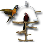 Bottlebrush Play Gym - Wayne's Parrot Stuff