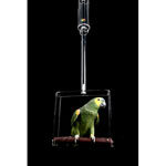 Crystal Tote Acrylic Manzanita Hanging Bird Gyms by Crystal Flight