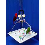 Medium Boing-Kabob Play Gym with Ceiling Guard by Pretty Parrot