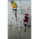 Kitchen Sink Hanging Parrot Perch - Bird Toys Etc.