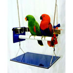 Exer-Swing Gym - Pretty Parrot