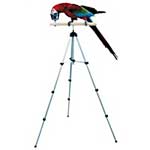 Tripod Perch by Great Companions