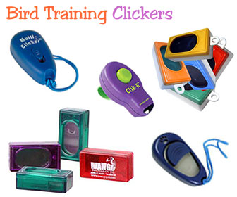 clicker training birds