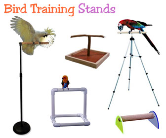 TOYPOPOR Bird Travel Perches Portable Training Bird Perch Stand with Potty Tra 