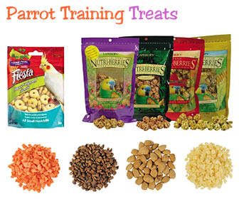 Parrot Treats