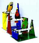 Colored Acrylic Table top Bird Perches at EclectusParrot.com