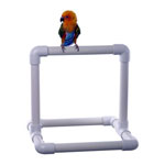 Grab-n-Go Handy Stand - PVC Table top Bird Perch