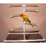 Table Top Bird Stand with Plexiglas Base