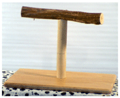 Wood Base Training Perch by Bird Brain Solutions