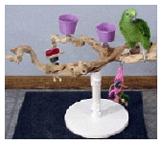 Small Travel Table Top Bird Stand by Exotic Wood Dreams